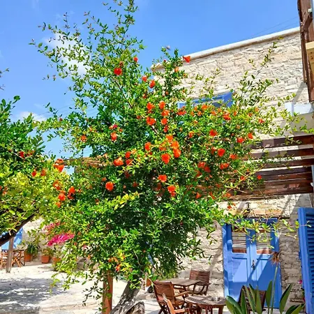 Athena's Pool Oasis